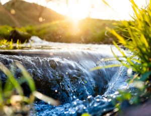 Spring,Background,Stream,Of,Water,In,The,Forest